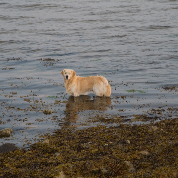 photographybyduncanholmes_2707131039_Burghead (89 of 108).jpg